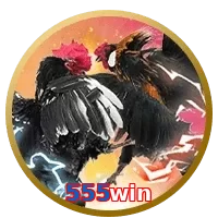 555win